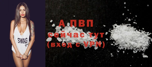 спайс Новодвинск