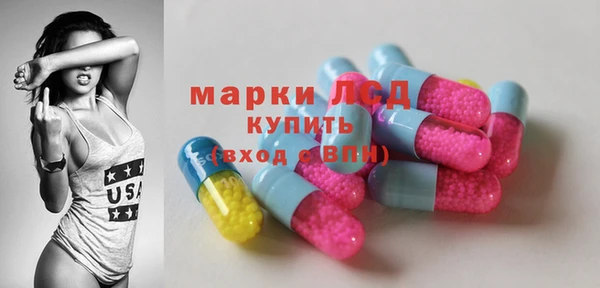 дживик Новозыбков