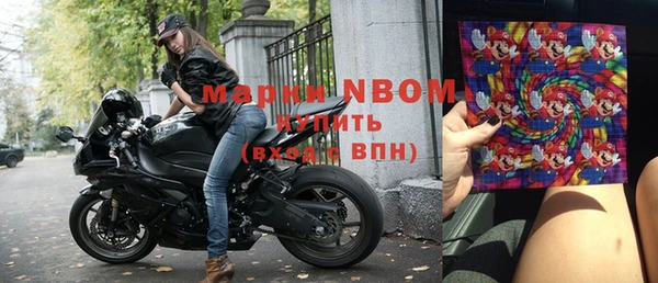 дживик Новозыбков