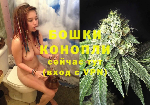 спайс Новодвинск