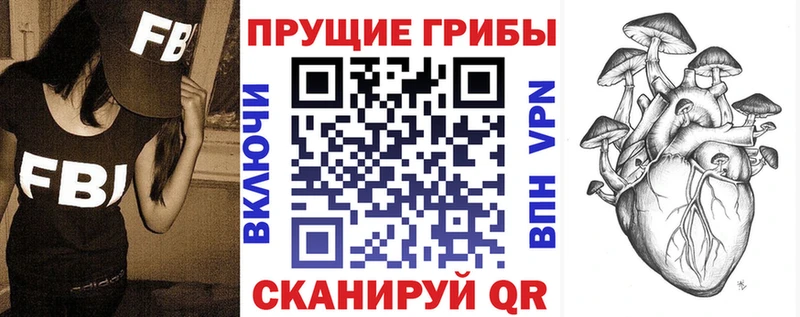 мега ссылки  Отрадное  Псилоцибиновые грибы GOLDEN TEACHER  хочу наркоту 