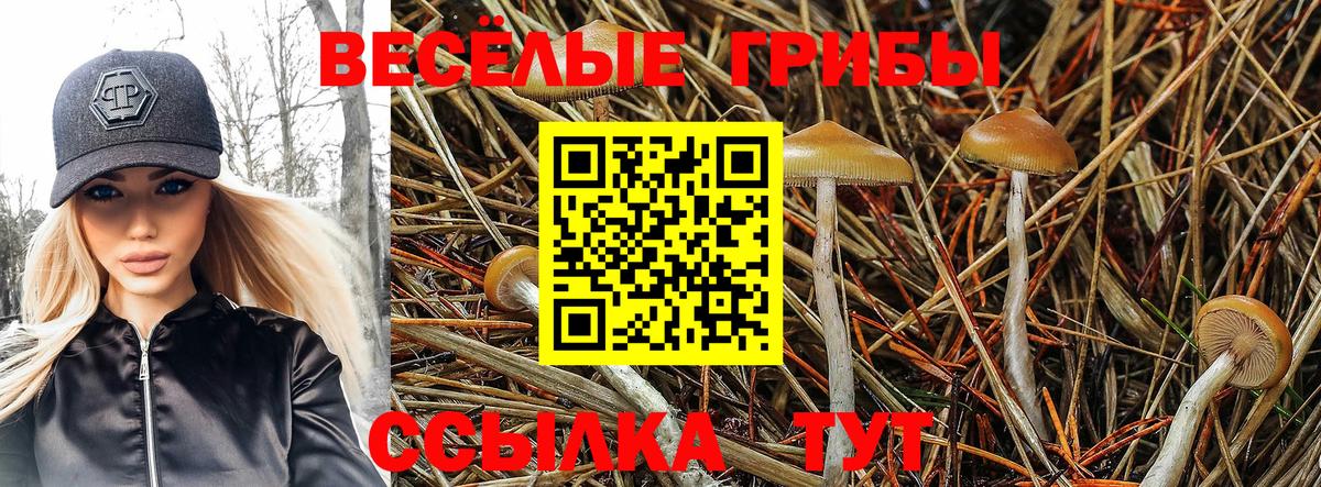 Псилоцибиновые грибы мицелий  Вход с VPN  Отрадное 
