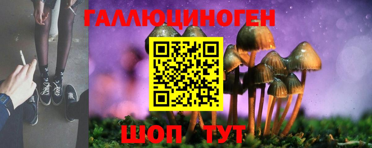 Псилоцибиновые грибы мухоморы Отрадное